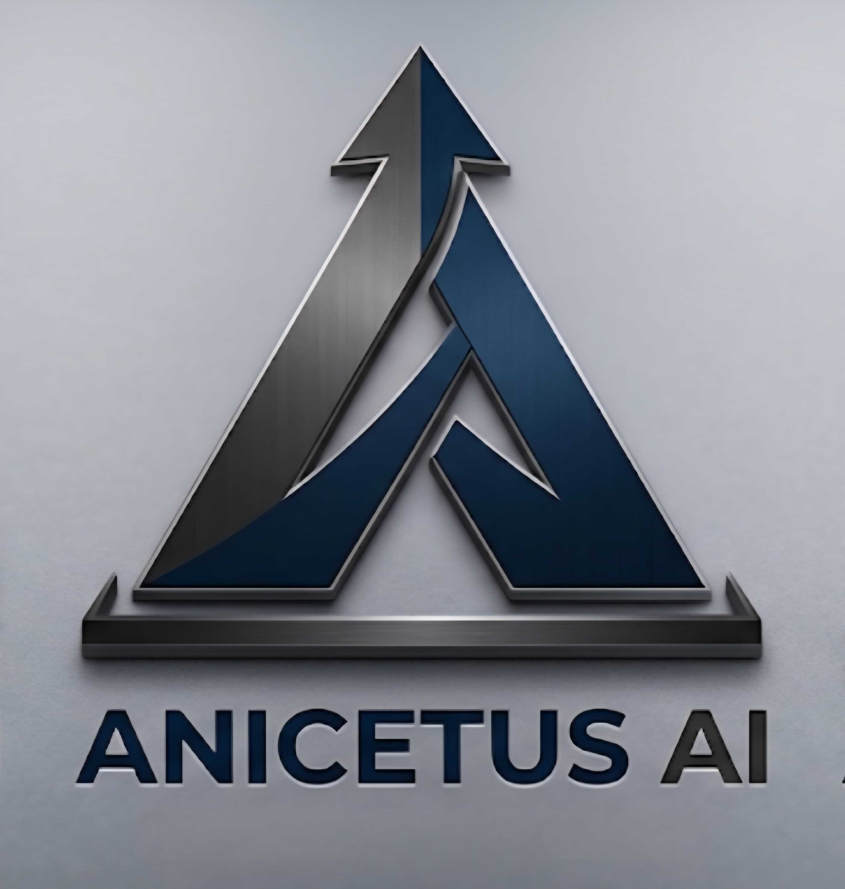 Anicetus